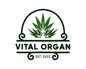 Organic Marijuana Plant logo design