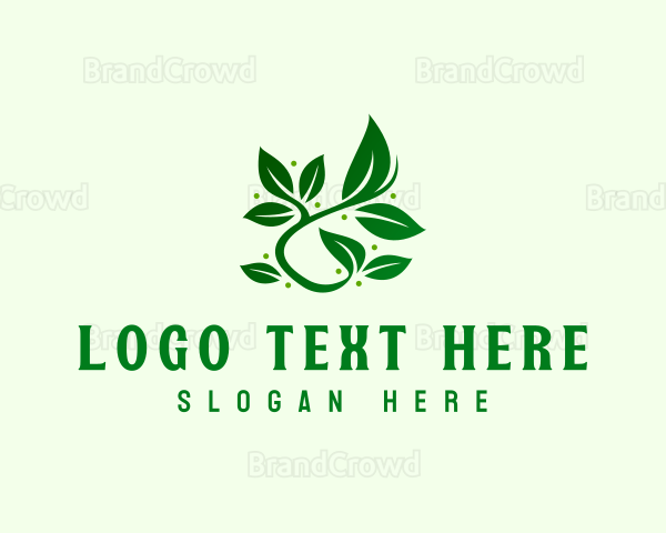 Vegan Nature Leaves Logo