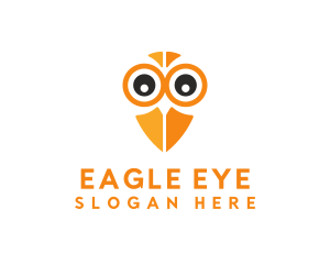 Owl Bird Eye logo design