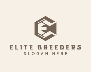 Generic Firm Letter E logo design