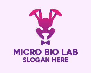 Purple Magic Rabbit logo design