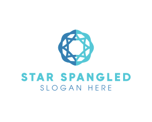 Professional Company Star & Circle logo design
