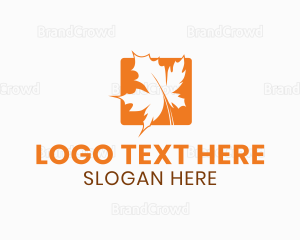 orange with leaf logo