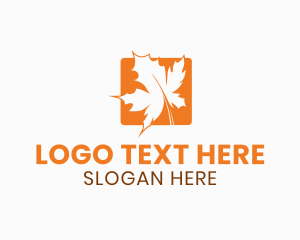 Herbal - Orange Maple Leaf logo design