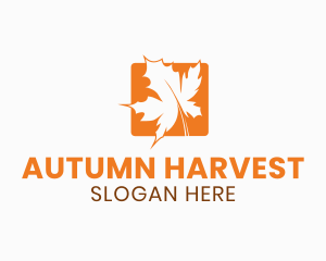 Fall - Orange Maple Leaf logo design