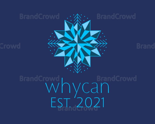 Blue Star Snowflake Logo