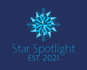 Blue Star Snowflake logo design