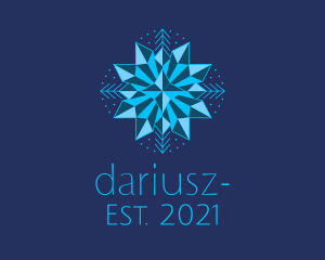 Freezing - Blue Star Snowflake logo design