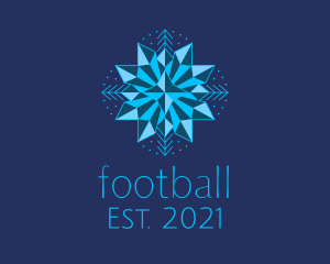 Winter - Blue Star Snowflake logo design