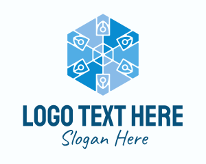 Geometric Hexagon Snowflake Logo