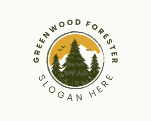 Pine Tree Forest logo design