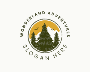 Pine Tree Forest logo design