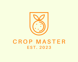 Orange Fruit Harvest logo design