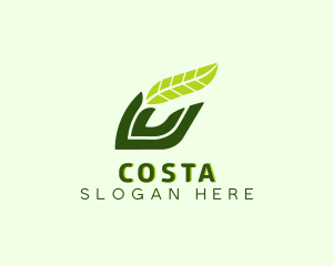 Natural Leaf Plant logo design