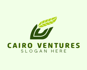 Natural Leaf Plant logo design