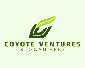 Natural Leaf Plant logo design