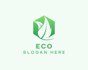 Hexagon Leaf Plant Herb Logo