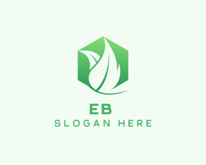 Hexagon Leaf Plant Herb Logo