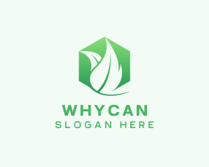 Hexagon Leaf Plant Herb Logo