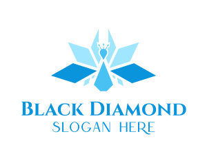 Diamond Peacock Jewelry  logo design