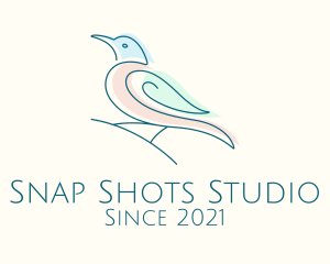 Animal Conservation - Minimalist Sparrow Bird logo design