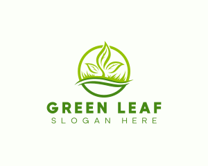 Leaf Grass Lawn logo design