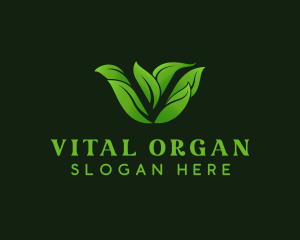 Natural Leaf Letter V logo design