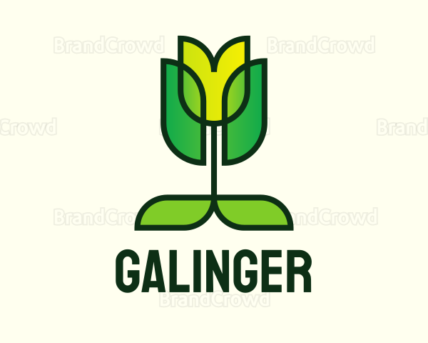 Eco Flower Tulip Logo