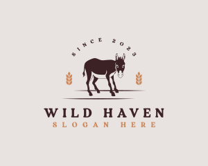 Donkey Barn Zoo logo design