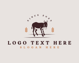 Donkey Barn Zoo Logo