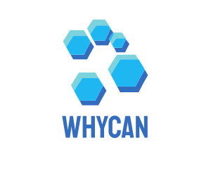 Blue Hexagon Hive Logo