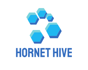 Blue Hexagon Hive logo design