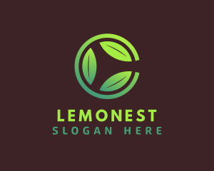 Green Tea - Letter C Leaf logo design