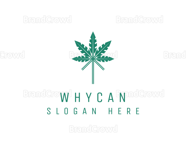 Organic Herbal Leaf Logo