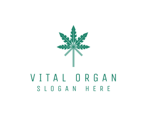 Organic Herbal Leaf logo design