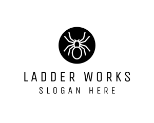 Spider Circle logo design