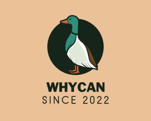 Geese - Duck Poultry Farm logo design