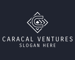 Professional Business Venture logo design