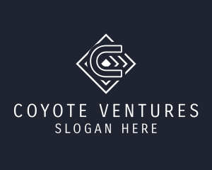 Professional Business Venture logo design