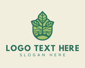 Environmental Friendly - Eco Seedling Leaf Gear logo design