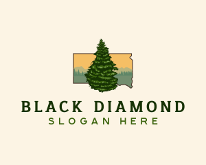 South Dakota Black Hill Spruce logo design