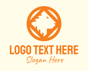 Leader - Orange Wild Lion Head logo design