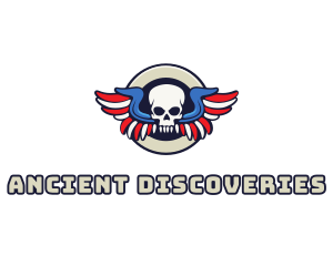 Patriotic Skull Wing logo design