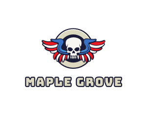 Patriotic Skull Wing logo design