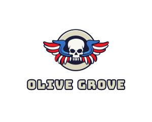 Patriotic Skull Wing logo design