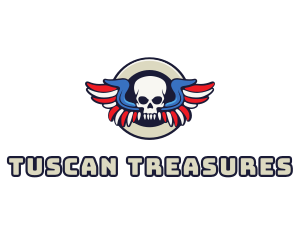 Patriotic Skull Wing logo design