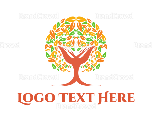 Cacao Tree Leaves Logo