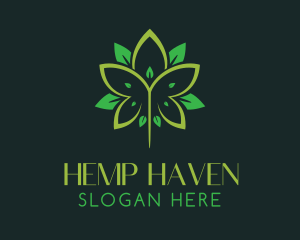 Medical Hemp Leaf logo design