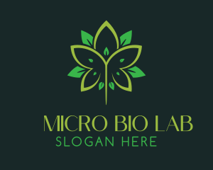 Medical Hemp Leaf logo design