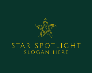 Star Line Insurance Consulting logo design